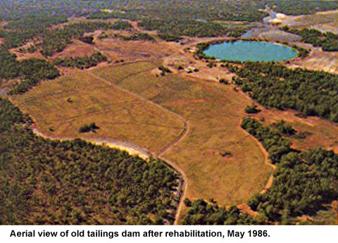 RJ Tailings