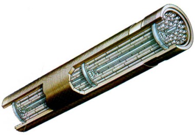 AGR fuel assembly cutaway